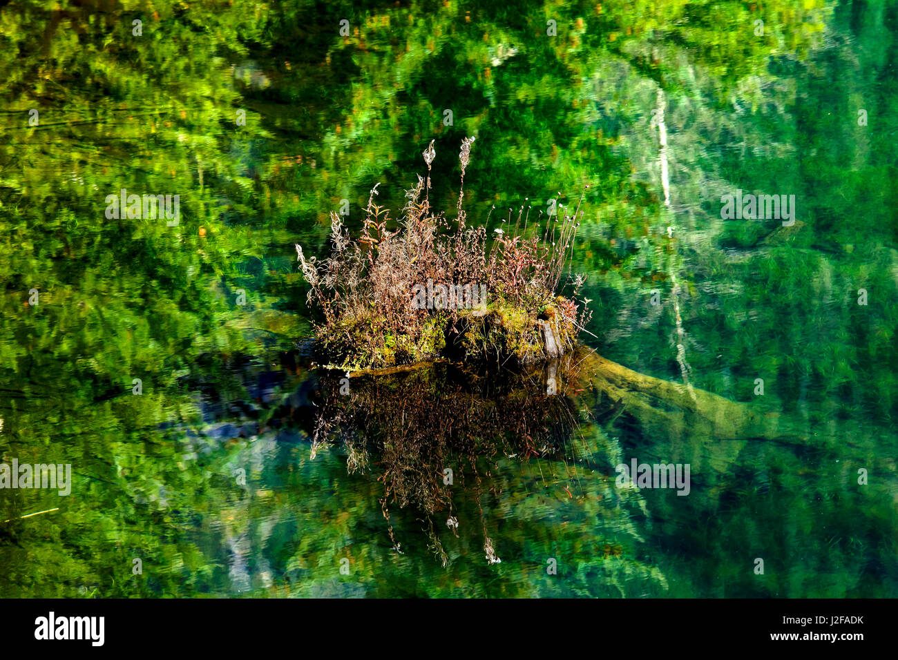 Rock flottant sur l'arbre vert jardin réflexion Résumé Le lac Gold Snoqualmie Pass, l'État de Washington Banque D'Images