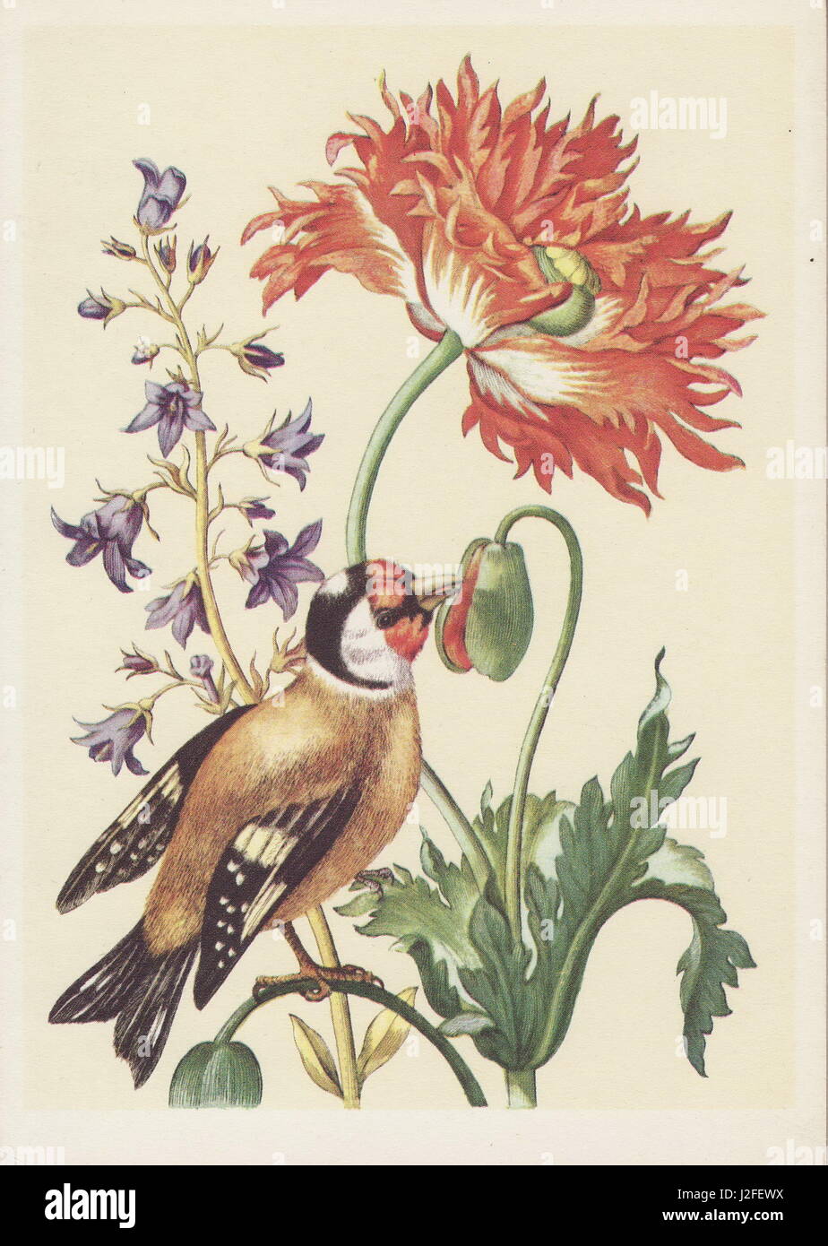 Carte postale ancienne de fleurs colorées. Banque D'Images