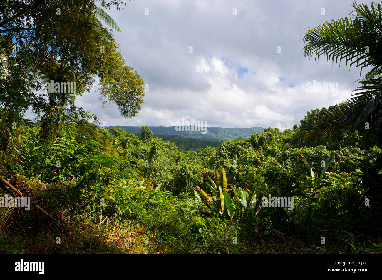 Outlook sur l'intérieur de l'île d'Espiritu Santo, Vanuatu, Pacifique Sud Banque D'Images