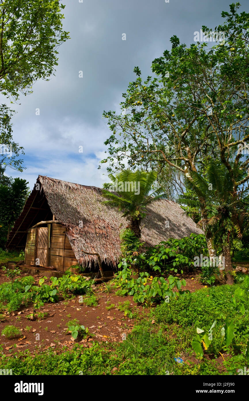 Maison traditionnelle à l'intérieur de l'île d'Espiritu Santo, Vanuatu, Pacifique Sud Banque D'Images