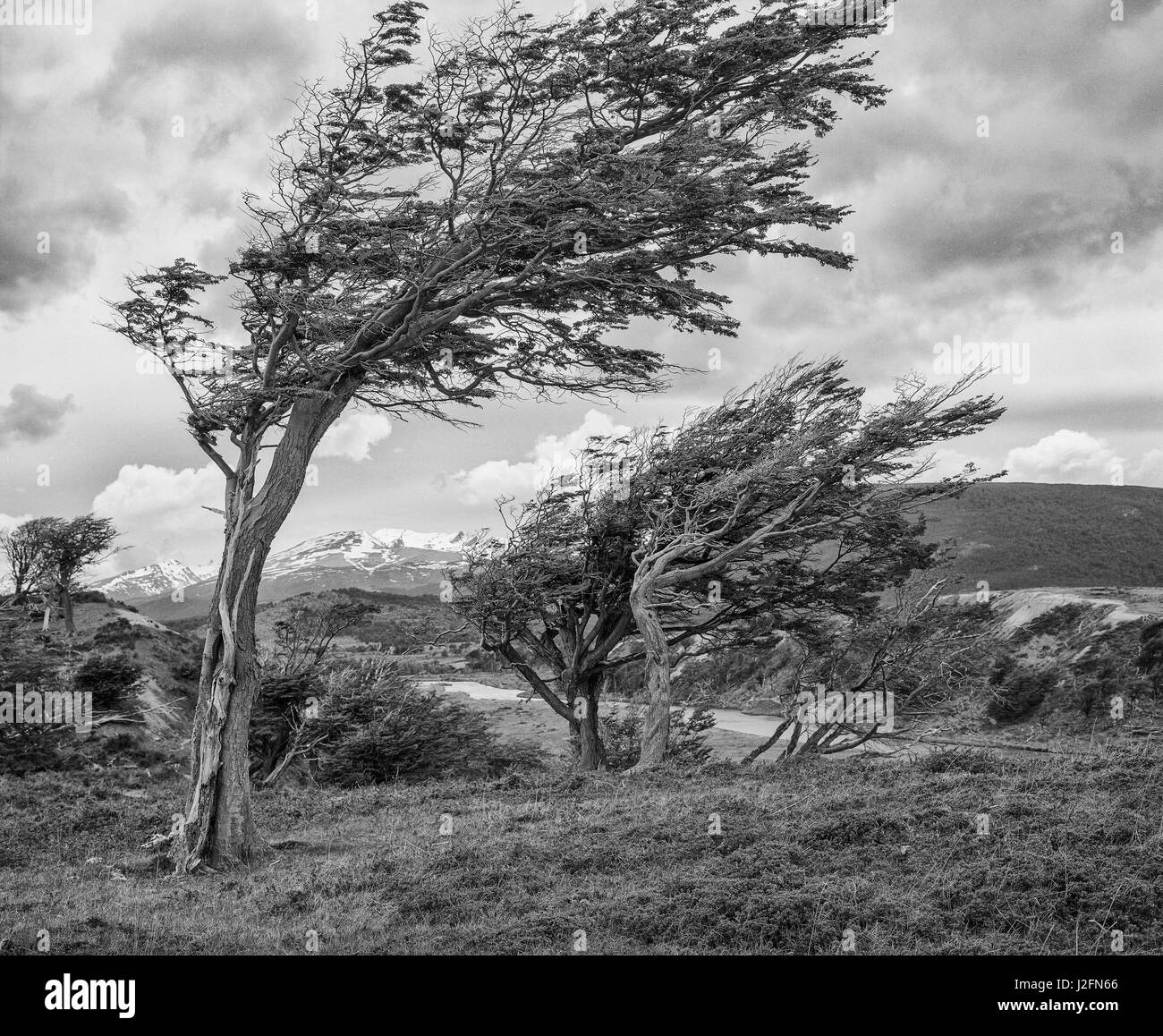 L'Argentine, Ushuaia Banque D'Images