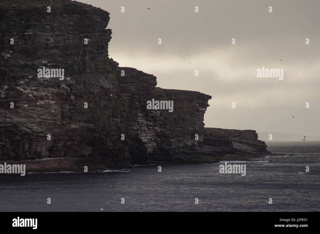 Noupe de Noss est un site de nidification de Bassan en Shetland UK. Le site de reproduction de Bassan est dans le Shetland cliffs.Les falaises peindre un moody, scène atmosphérique Banque D'Images