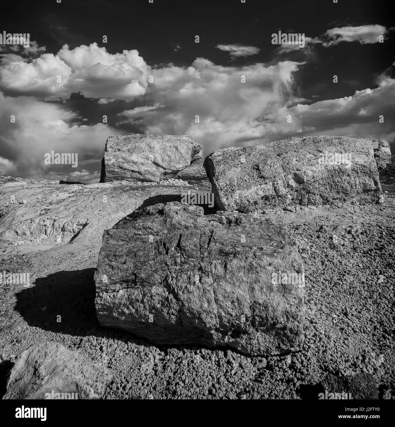 Fossilisés et arbres pétrifiés sont disséminés dans la forêt de cristal, le Parc National de la Forêt Pétrifiée, Arizona. Banque D'Images