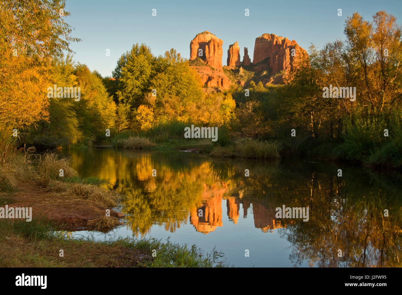 Coucher du soleil, des reflets, chêne, Crek Cathedral Rock, Red Rock Crossing, Crescent Moon Recreation Area, Sedona, Arizona, USA Banque D'Images