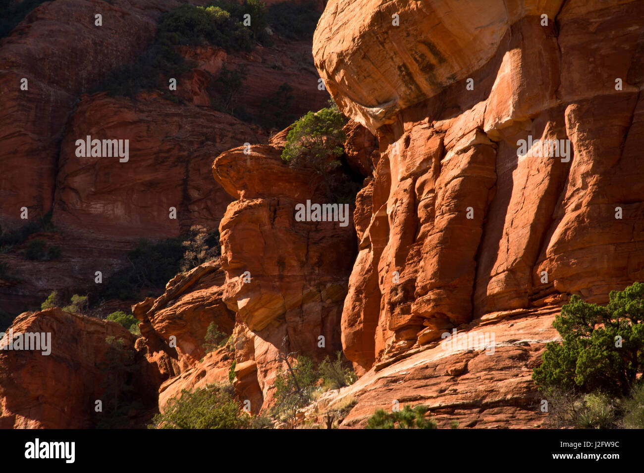 Fay Canyon, Close-up, Red Rock, Coconino National Forest, Sedona, Arizona, USA Banque D'Images