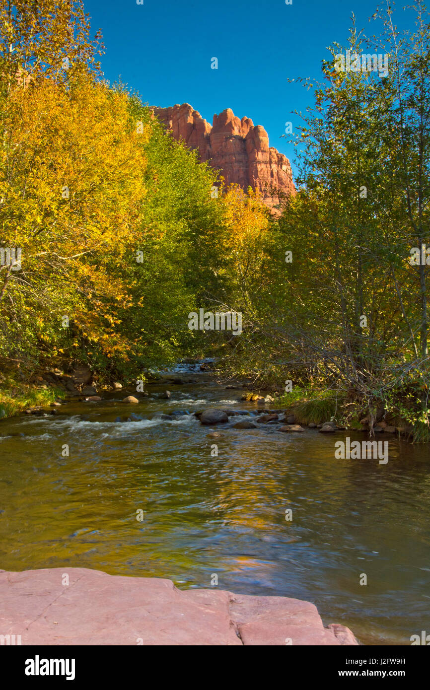 La fin de l'après-midi, réflexions, chêne, Crek Cathedral Rock, Red Rock Crossing, Crescent Moon Recreation Area, Sedona, Arizona, USA Banque D'Images
