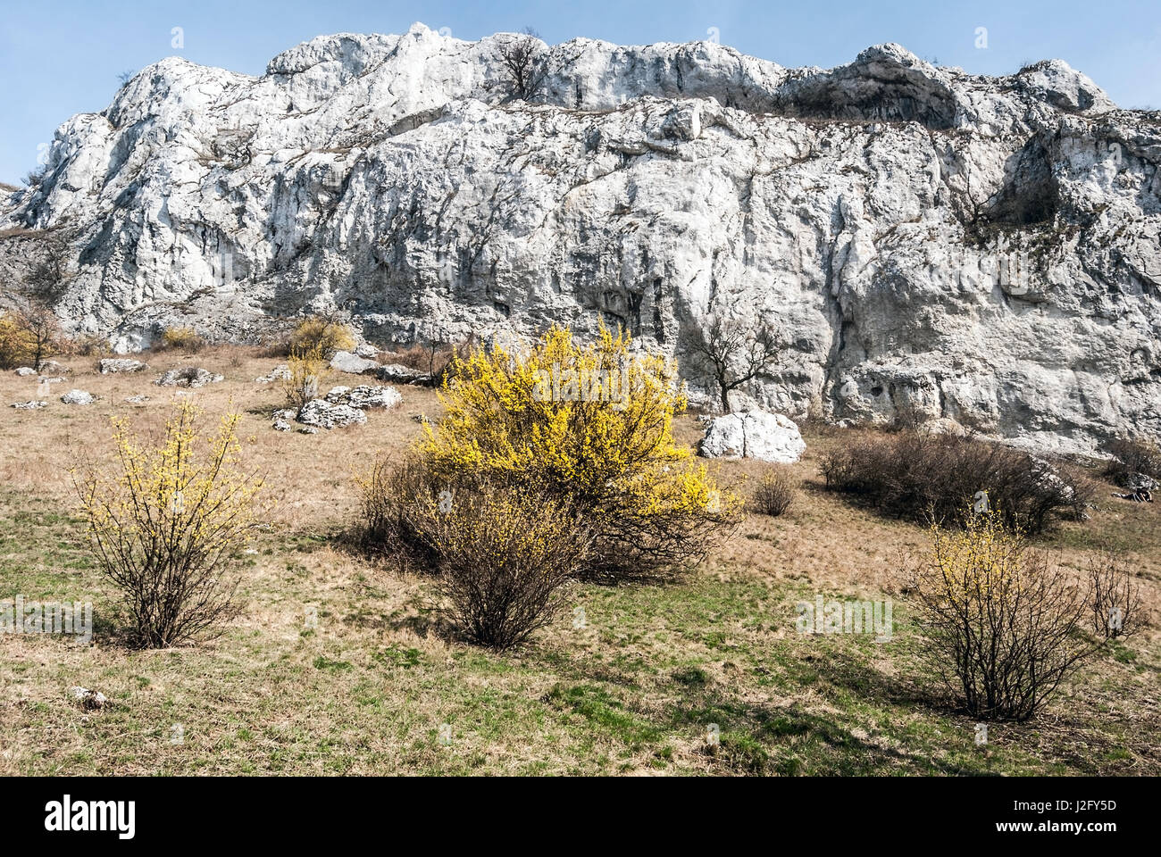 Palava printemps montagnes en npr devin - kotel - souteska en Moravie du sud avec prairie, plantes à fleurs cornus mas, roches calcaires et clear sky Banque D'Images