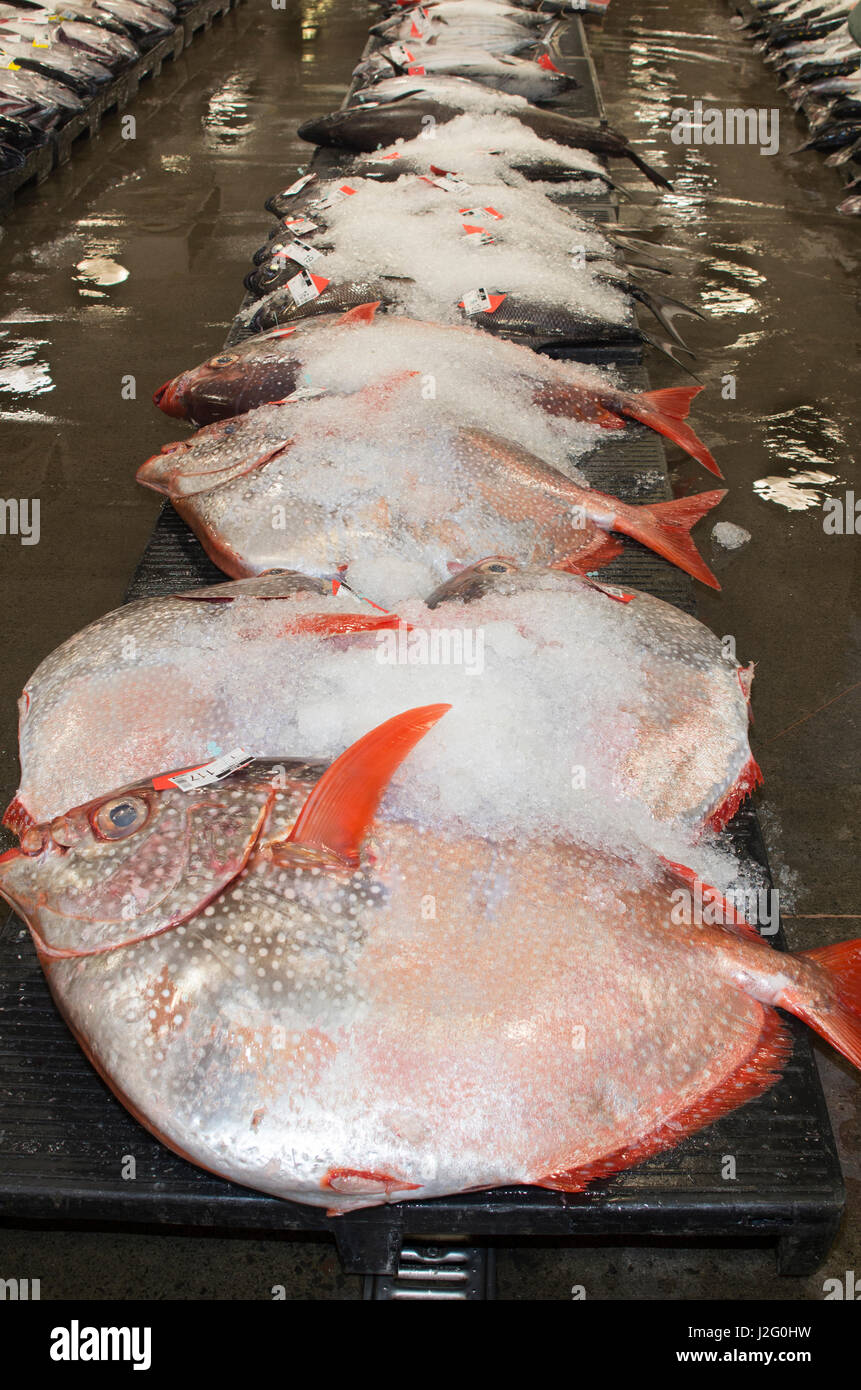 USA, Hawaii, Oahu, Honolulu. Des dieux ou Moonfish à Honolulu, vente aux enchères du poisson seulement commercial vente aux enchères de thon frais en nous. Banque D'Images