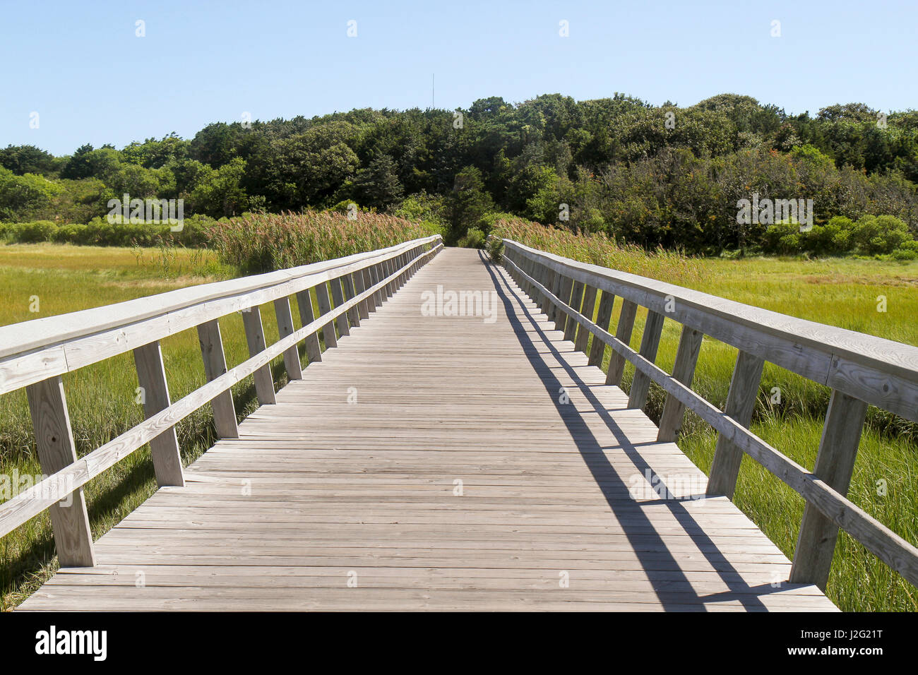 Boardwalk, Cape Cod National Seashore, Eastham, Massachusetts, USA Banque D'Images