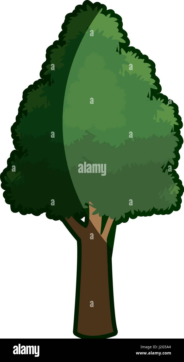 L'écorce rugueuse du feuillage des arbres d'ombre de la tige Illustration de Vecteur