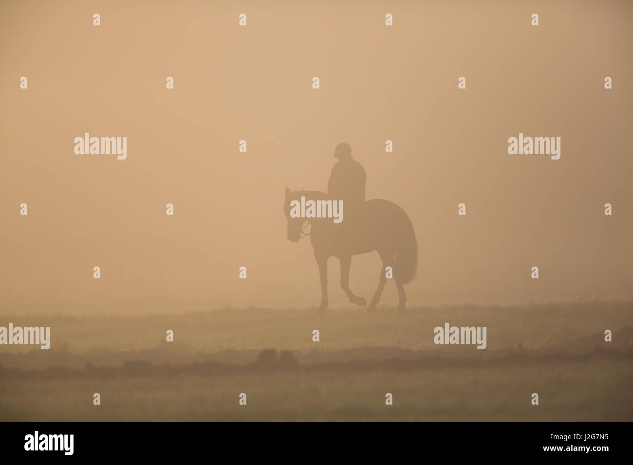 Silhouette de cavalier à cheval le matin avec de la brume de poussière Banque D'Images