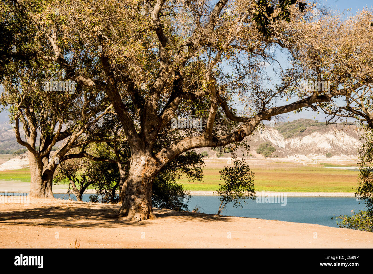 Aux Etats-Unis, le Centre de la Californie, la sécheresse en vedette 3a, de l'expédition de Santa Ynez Valley, lac Cachuma (derrière le réservoir du barrage de Bradbury) à bas niveau en 4 ans de sécheresse (grand format formats disponibles) Banque D'Images