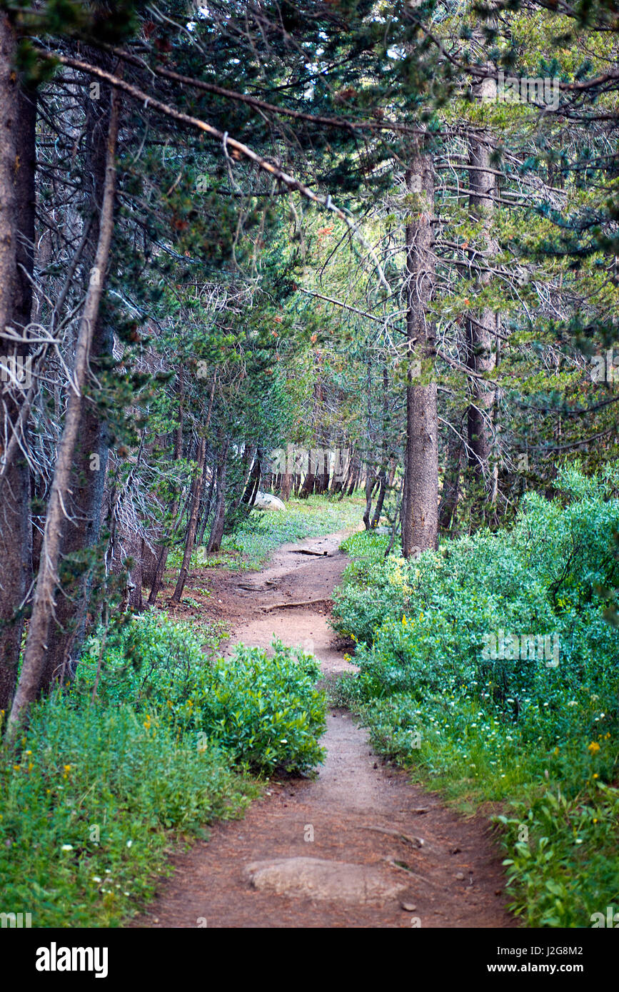 États-unis, Californie, Yosemite National Park, Sentier des loups blanc Tailles disponibles (grand format) Banque D'Images