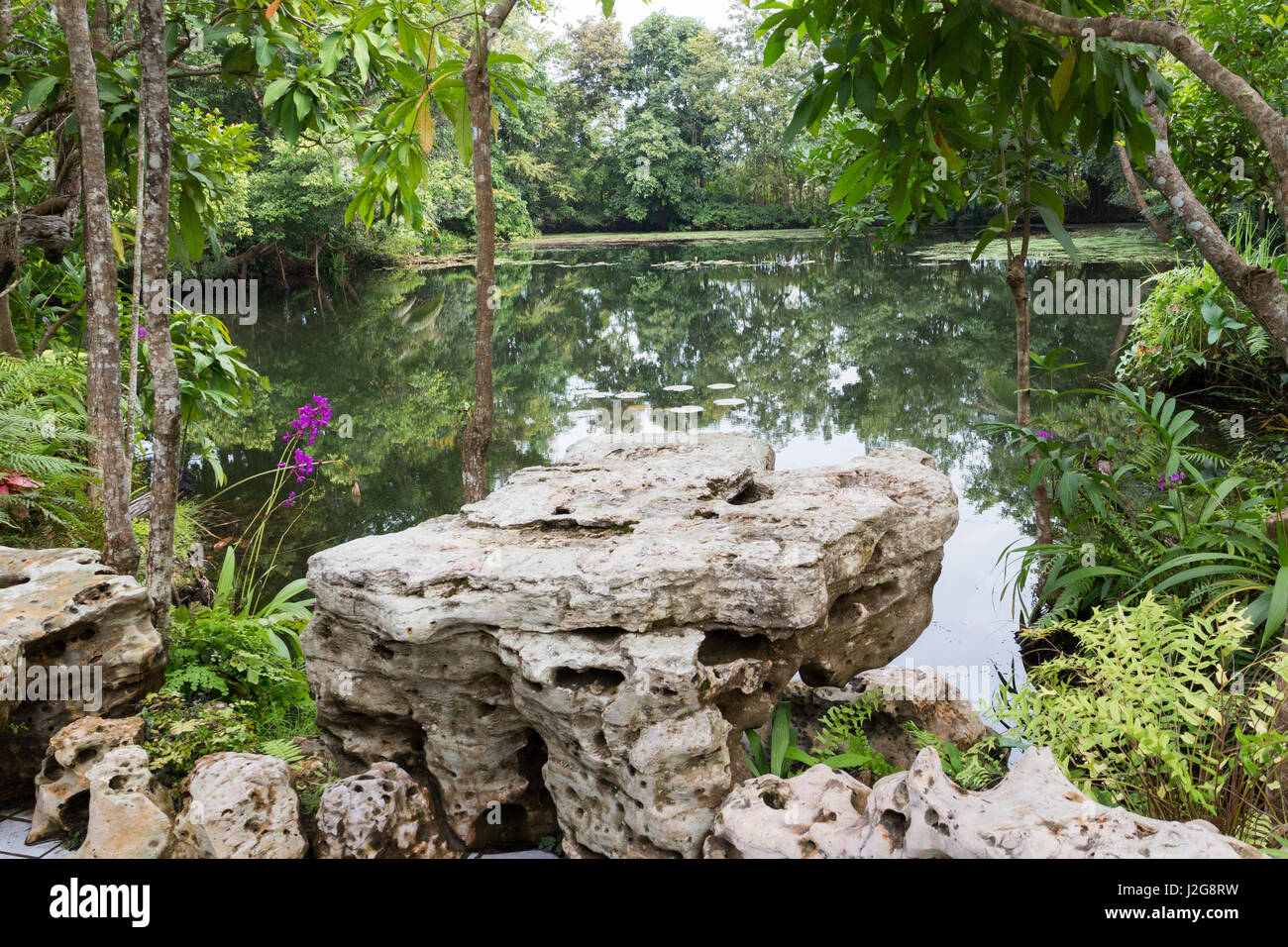 Jardin cultivé et étang dans le Nord de la Thaïlande Banque D'Images