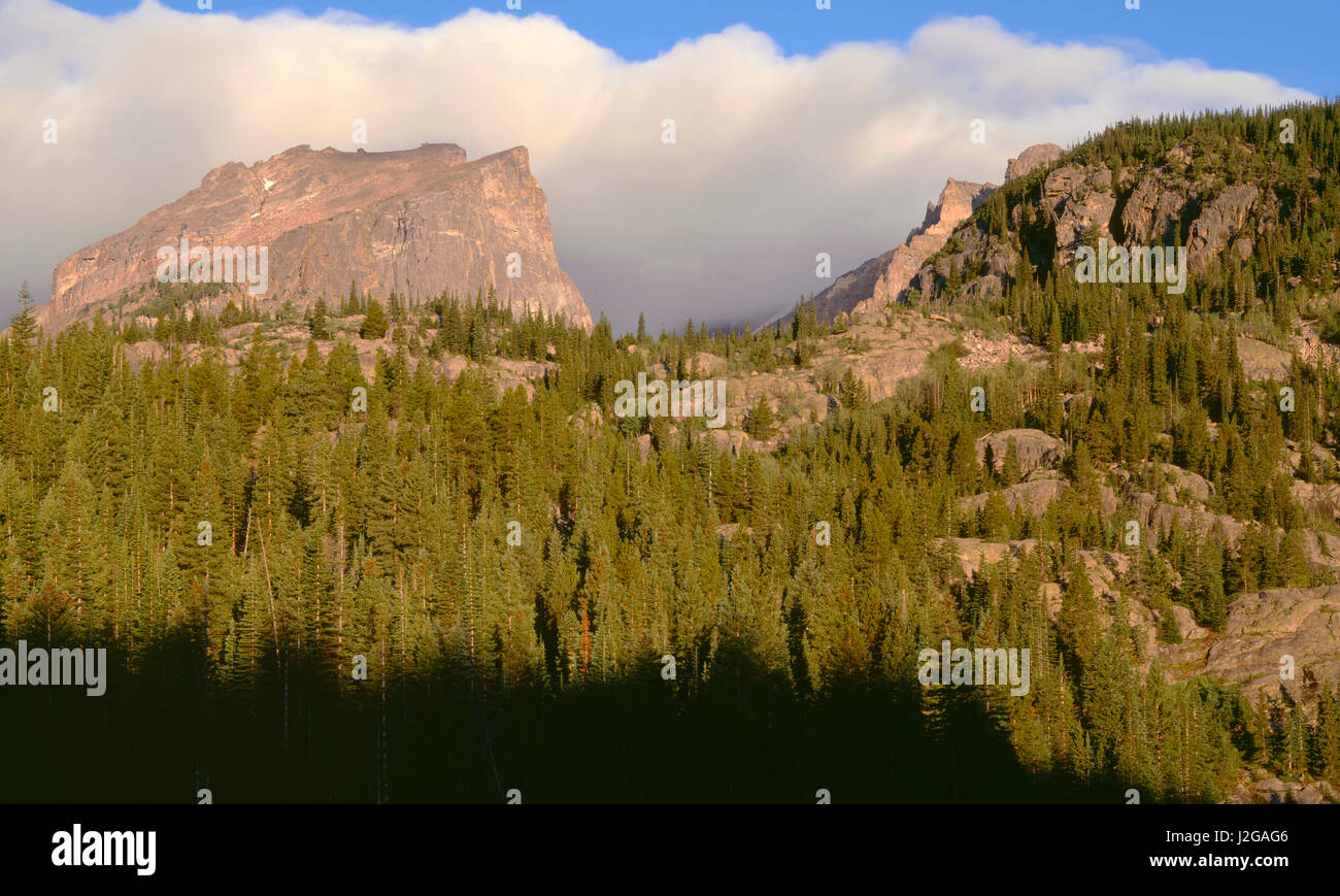 USA, Colorado, Rocky Mountain National Park, tôt le matin et les nuages de tempête au-dessus de la forêt de conifères. Tailles disponibles (grand format) Banque D'Images