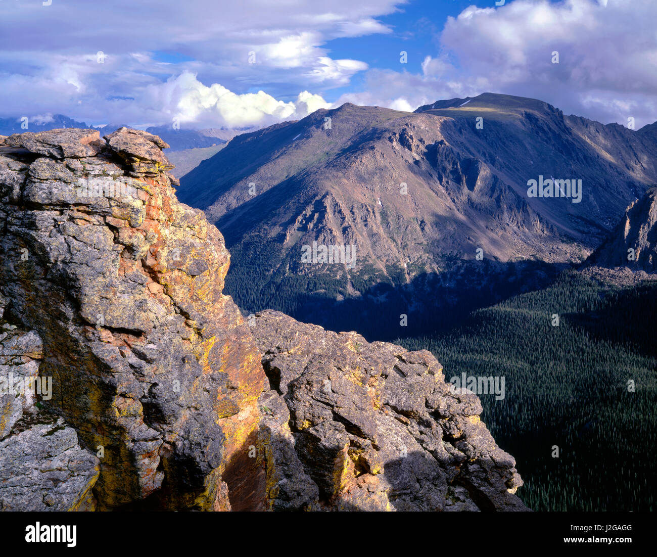 USA, Colorado, Rocky Mountain National Park, des roches couvertes de lichen à Rock Cut avec pierres lointain au-dessus de pics en forêt de conifères Canyon. Tailles disponibles (grand format) Banque D'Images