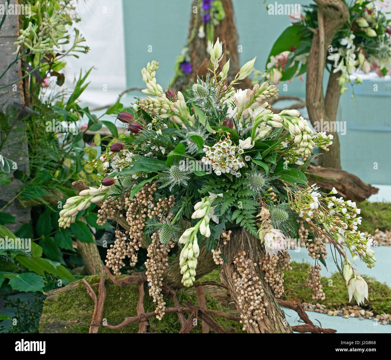 Un arrangement floral moderne avec du bois flotté Banque D'Images