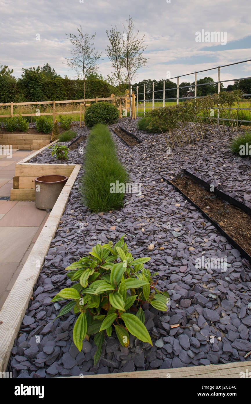 Belle, paysagé, jardin privé avec patio pavé, design contemporain, les arbustes et les graminées dans les lignes sur soulevée frontière - Yorkshire, Angleterre, Royaume-Uni. Banque D'Images