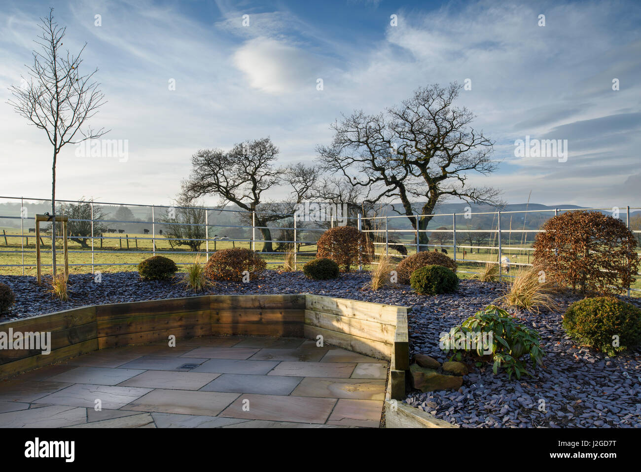 Soleil d'hiver sur le magnifique, jardin privé, Yorkshire, Angleterre, Royaume-Uni - élégant et contemporain, l'aménagement paysager et des plantations nouvelles sur le bois des lits surélevés. Banque D'Images