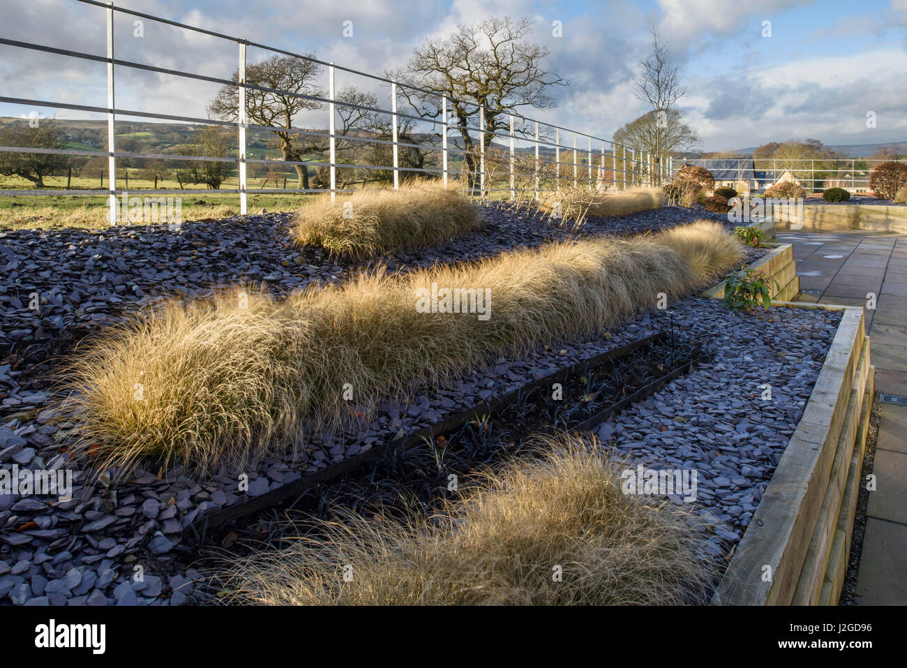 Soleil d'hiver sur le magnifique, jardin privé, Yorkshire, Angleterre, Royaume-Uni - élégant et contemporain et le paysagisme, l'ardoise et de graminées sur les billons de bois. Banque D'Images