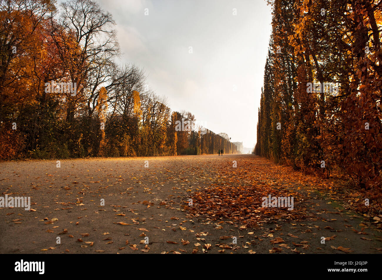 'Ordre de précision" : l'automne promenade dans les jardins du palais de Schonbrunn, Vienne Banque D'Images