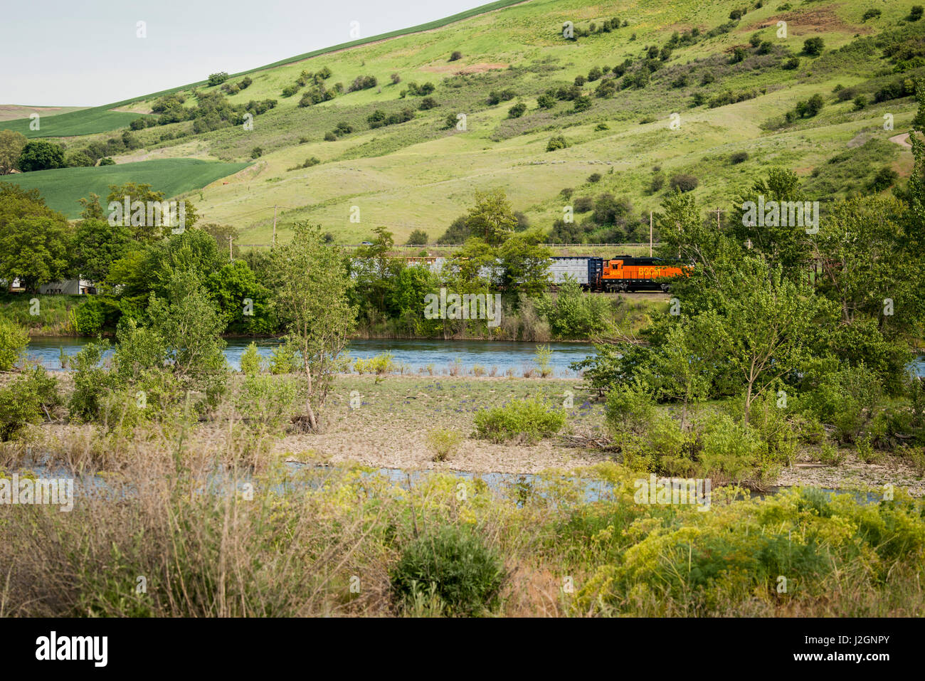 USA, Ohio, du bassin du fleuve Columbia, du bassin de la rivière Snake, Lewiston, Clearwater River Serpent (R), affluent du train de BGCM Tailles disponibles (grand format) Banque D'Images