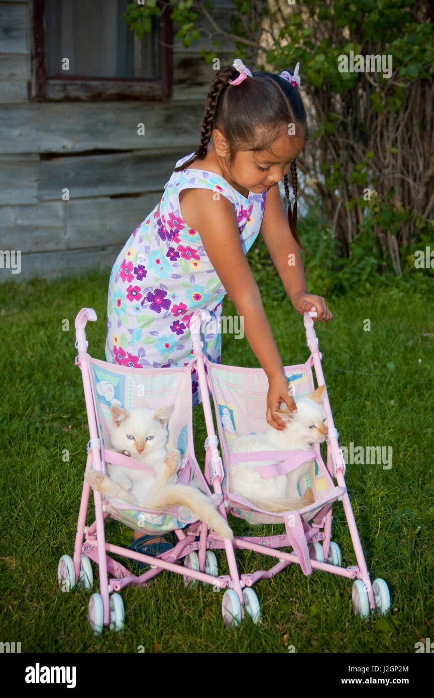 Les jeunes filles autochtones américaines joue avec ses deux chatons blancs en les plaçant dans son jouet poussette. (MR) Banque D'Images