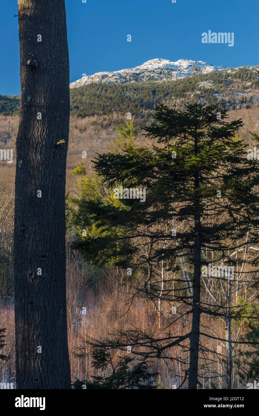 Le mont Monadnock à Jaffrey, New Hampshire. L'hiver. Banque D'Images