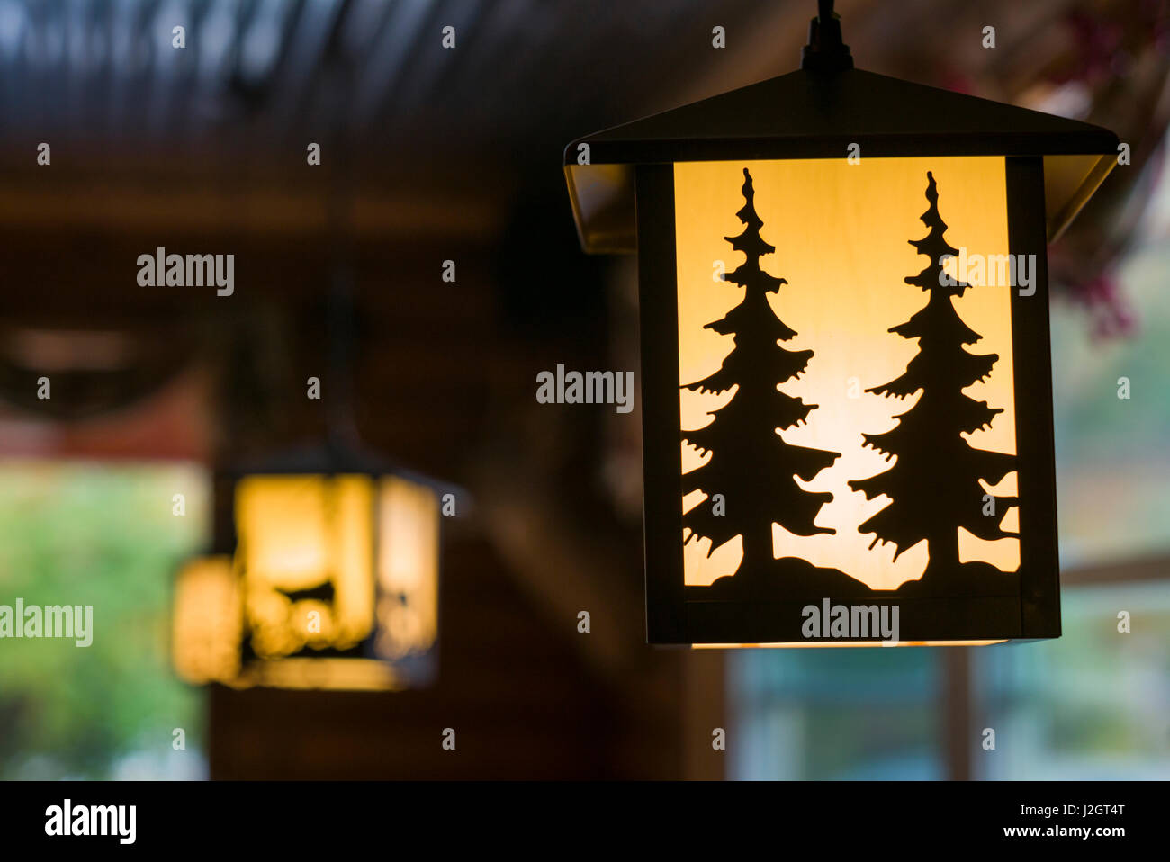 USA, New Hampshire, Montagnes Blanches, Bartlett, sur le thème de l'arbre de pin en feux de route diner Banque D'Images