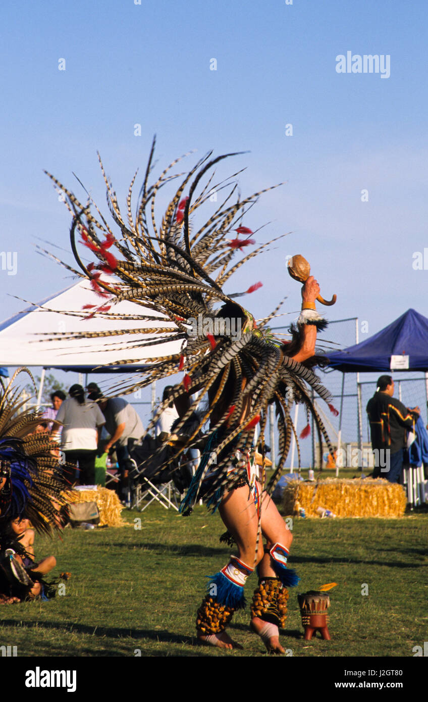 Aztec homme vêtu de costumes traditionnels et de grandes plumes traditionnels coiffure nous tend un gourd rattle lors d'une danse du feu. Banque D'Images
