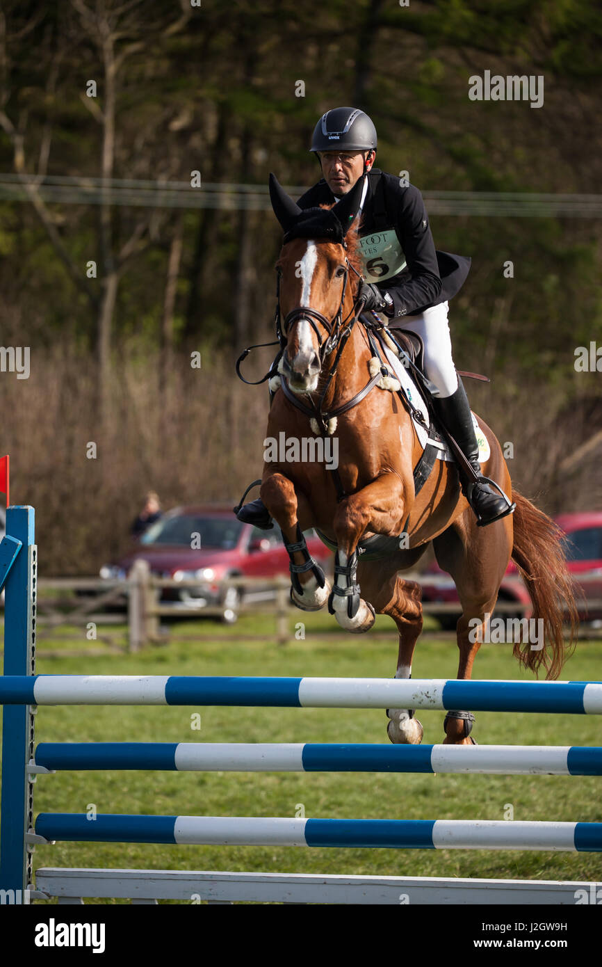 BURNHAM MARKET, NORFOLK/FRANCE - 15 avril 2017 : Burnham Market International Horse Trials 2017 Bill Levett événement cross country Banque D'Images