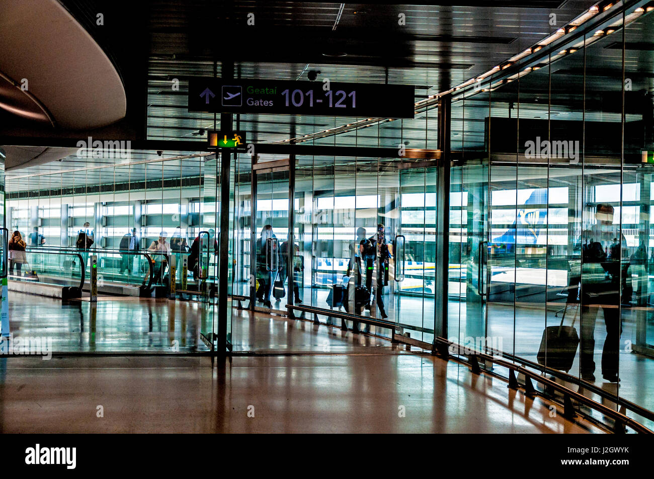 L'aéroport de Dublin, Irlande. Terminal Un couloir arrivée des passagers. Banque D'Images