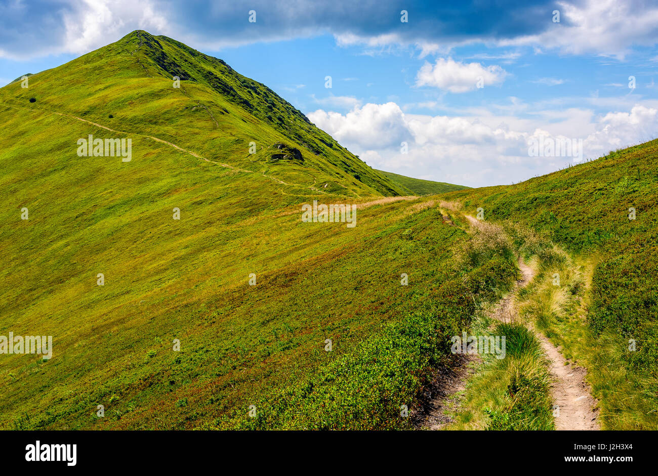 Chemin à travers un pré herbeux sur une colline. destination - pic de montagne. Belle paysage estival par beau temps avec quelques nuages sur un ciel bleu. Banque D'Images