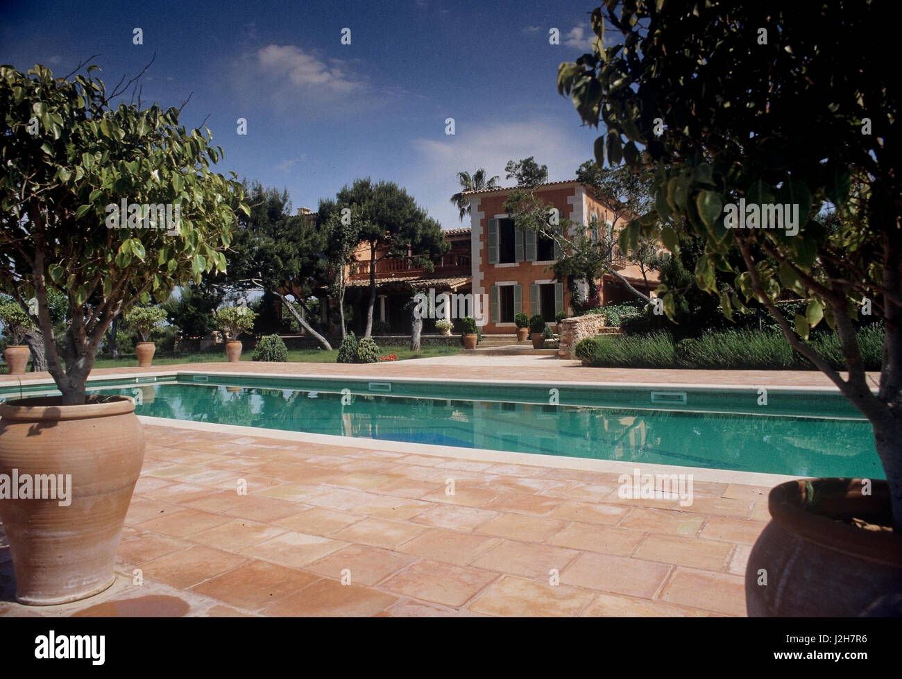 Piscine extérieure avec des plantes en pot. Banque D'Images