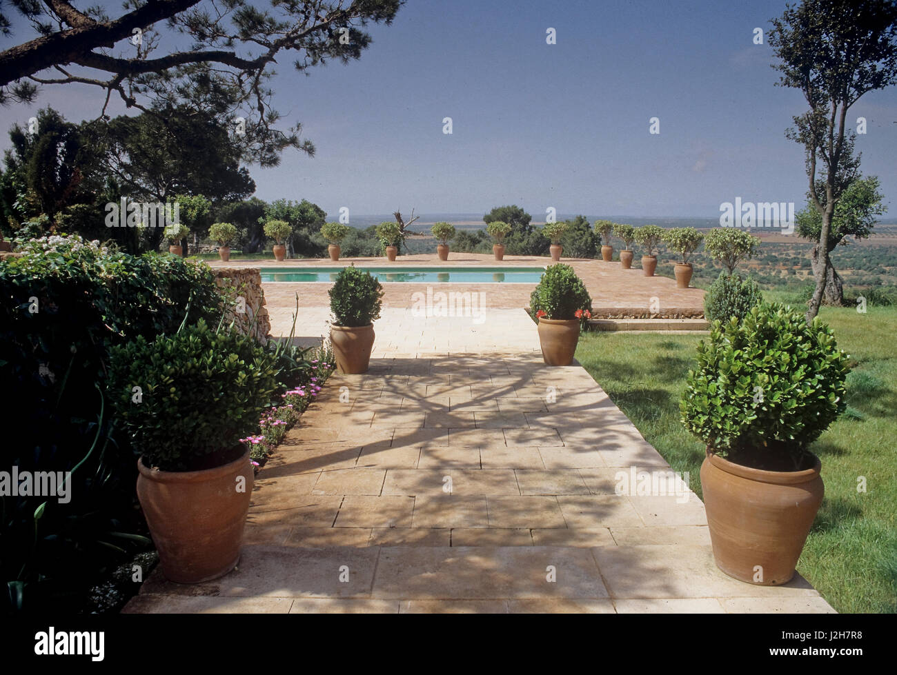 Piscine extérieure avec des plantes en pot. Banque D'Images