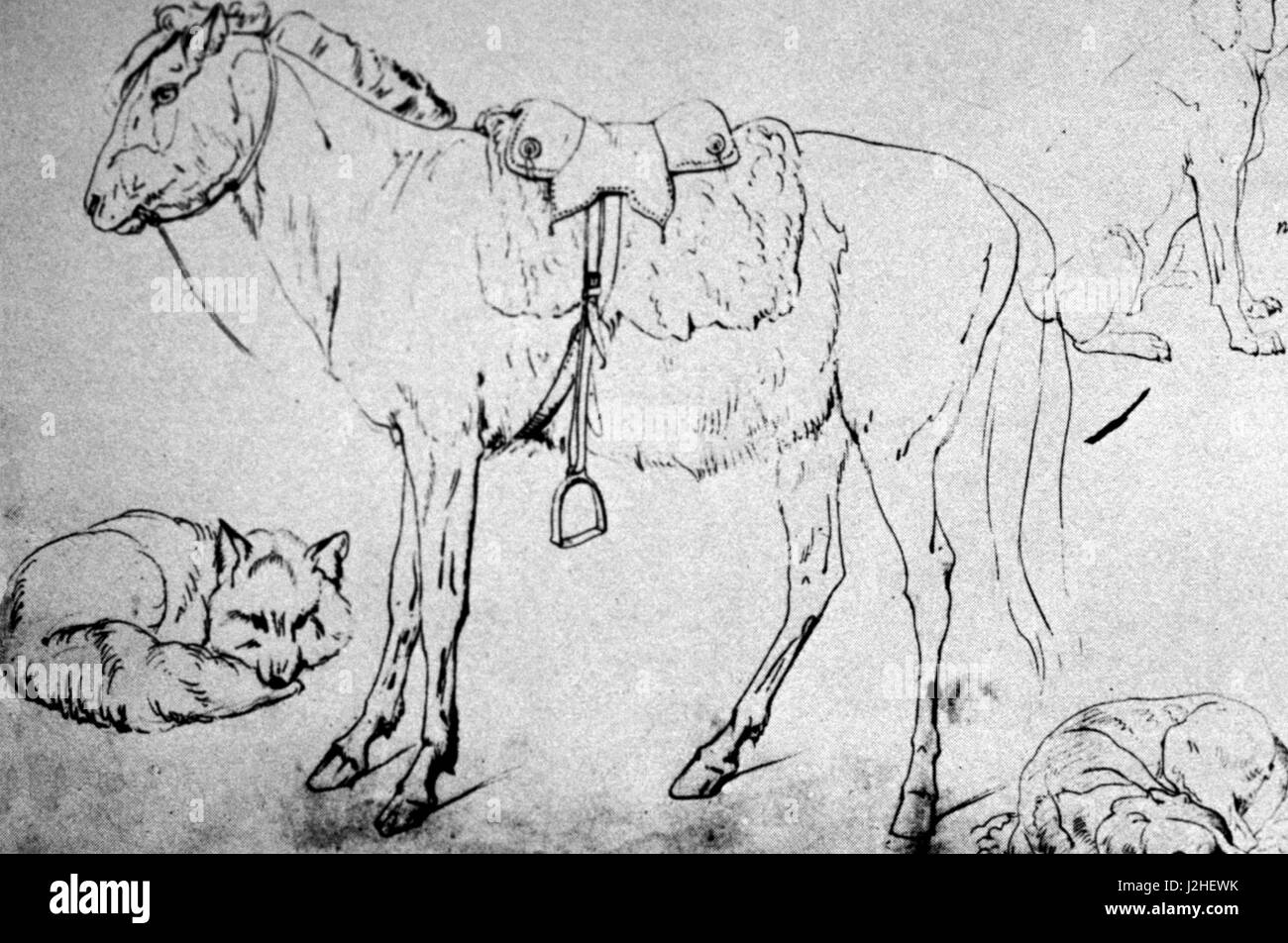 1852 Historique croquis par Kurz d'un poney indien Blackfeet Banque D'Images
