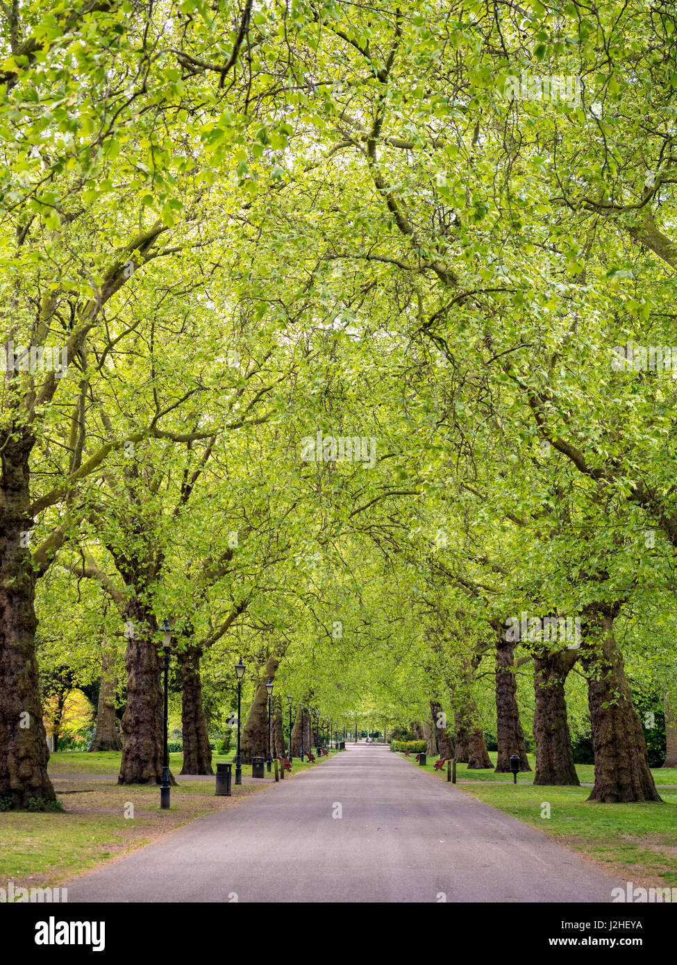 Battersea Park dans le quartier de Wandsworth, rive sud de la Tamise, Londres, Royaume-Uni. Banque D'Images