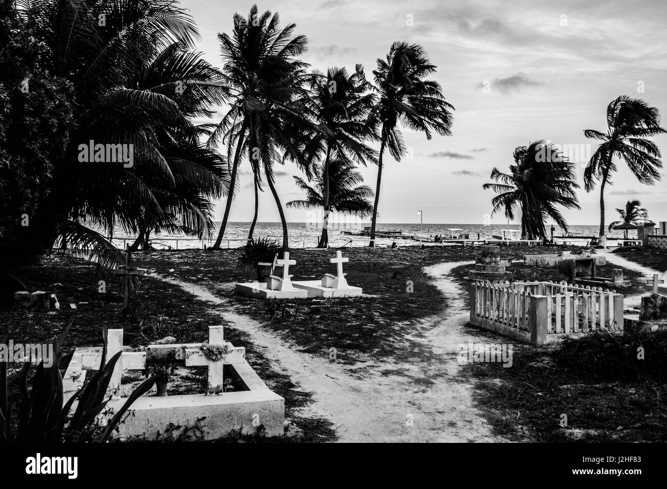 Cimetière avec palmiers sur une île des Caraïbes, Caye Caulker, Belize Banque D'Images