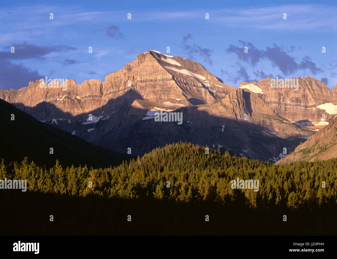 USA, Montana, Glacier National Park, Mount Gould et les pics de mur du jardin au-dessus de la tour de la forêt de conifères. Tailles disponibles (grand format) Banque D'Images