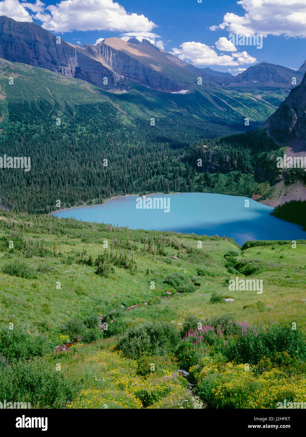 USA, Montana, le parc national des Glaciers, des fleurs sauvages fleurissent au-dessus de l'eau turquoise du lac en montagne Grinnell Allen s'élève dans le lointain. Tailles disponibles (grand format) Banque D'Images