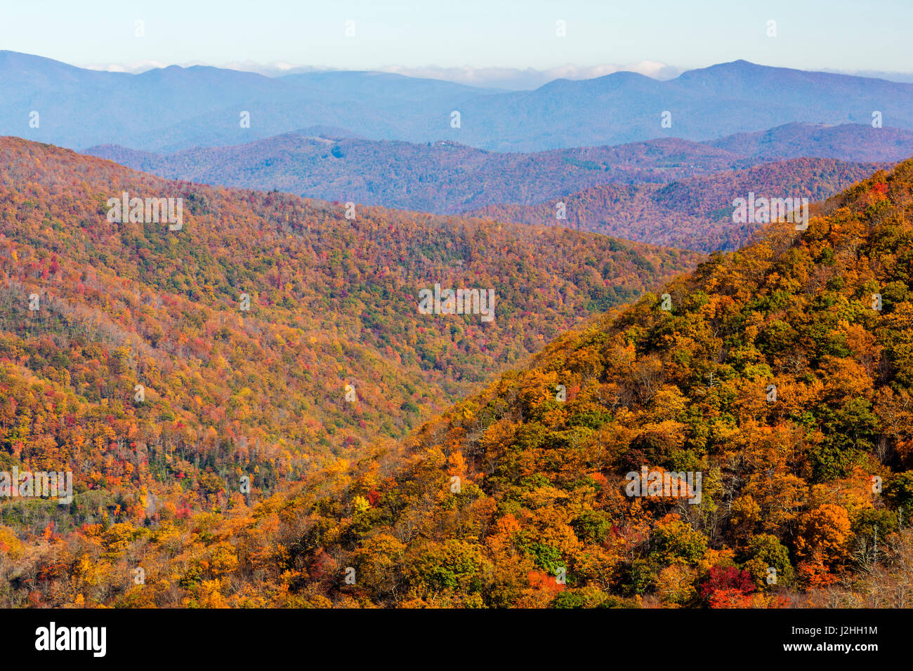 North Carolina, Blue Ridge Parkway, bouton vert donnant sur salon Banque D'Images