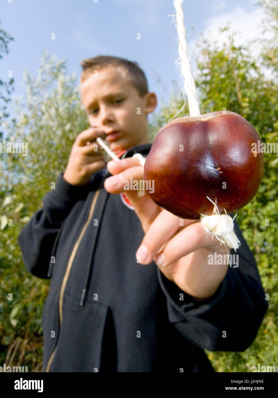Boy Playing Conkers Banque D'Images