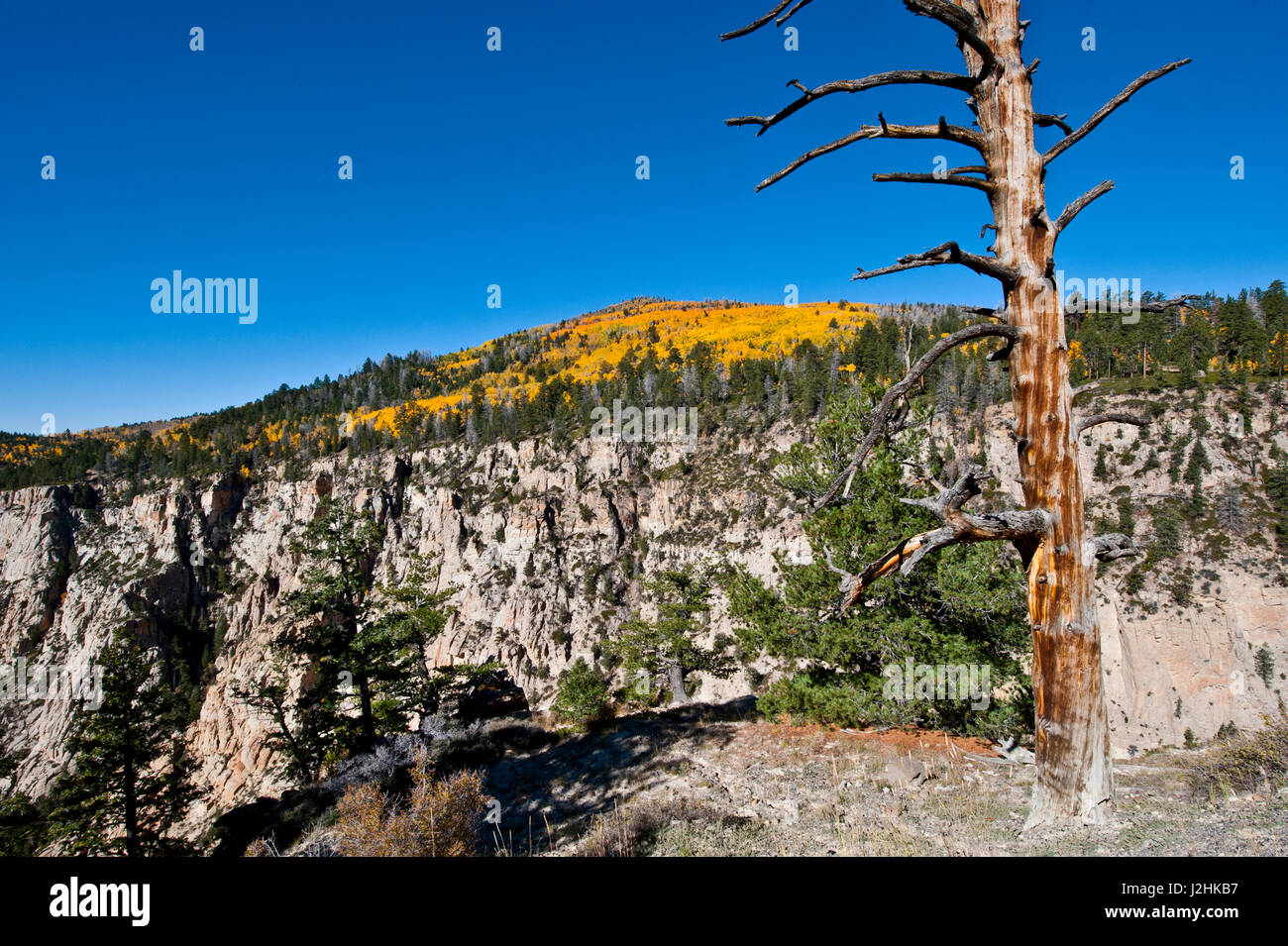 USA, Utah, Boulder, Escalante, Box-Death sauvage creux, Vistas de Creek-Hell Pin's routes Backbone Banque D'Images