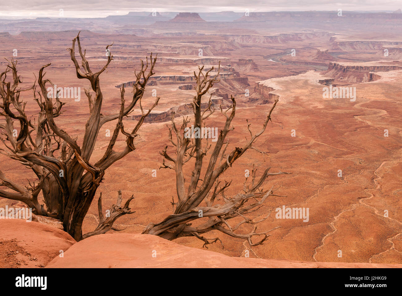 USA, Utah, Canyonlands National Park. Jante blanc paysage. En tant que crédit : Cathy & Gordon Illg / Jaynes Gallery / DanitaDelimont.com Banque D'Images