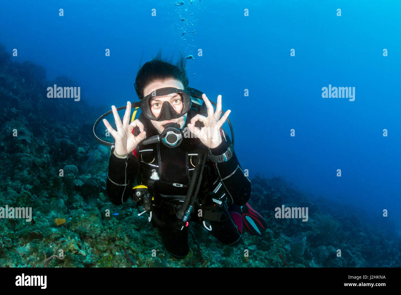 Plongeur femelle sur un récif de corail Banque D'Images