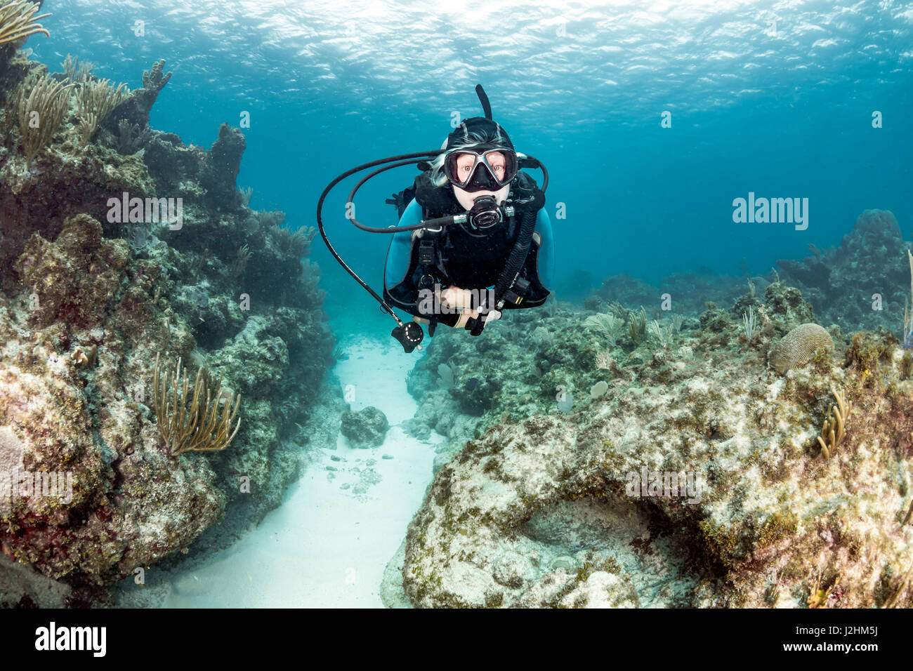 Plongeur femelle sur un récif Banque D'Images
