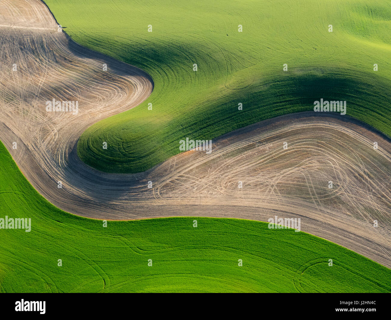 L'État de Washington, USA, Palouse, Whitman Comté. Vue aérienne de la région de Palouse. Banque D'Images