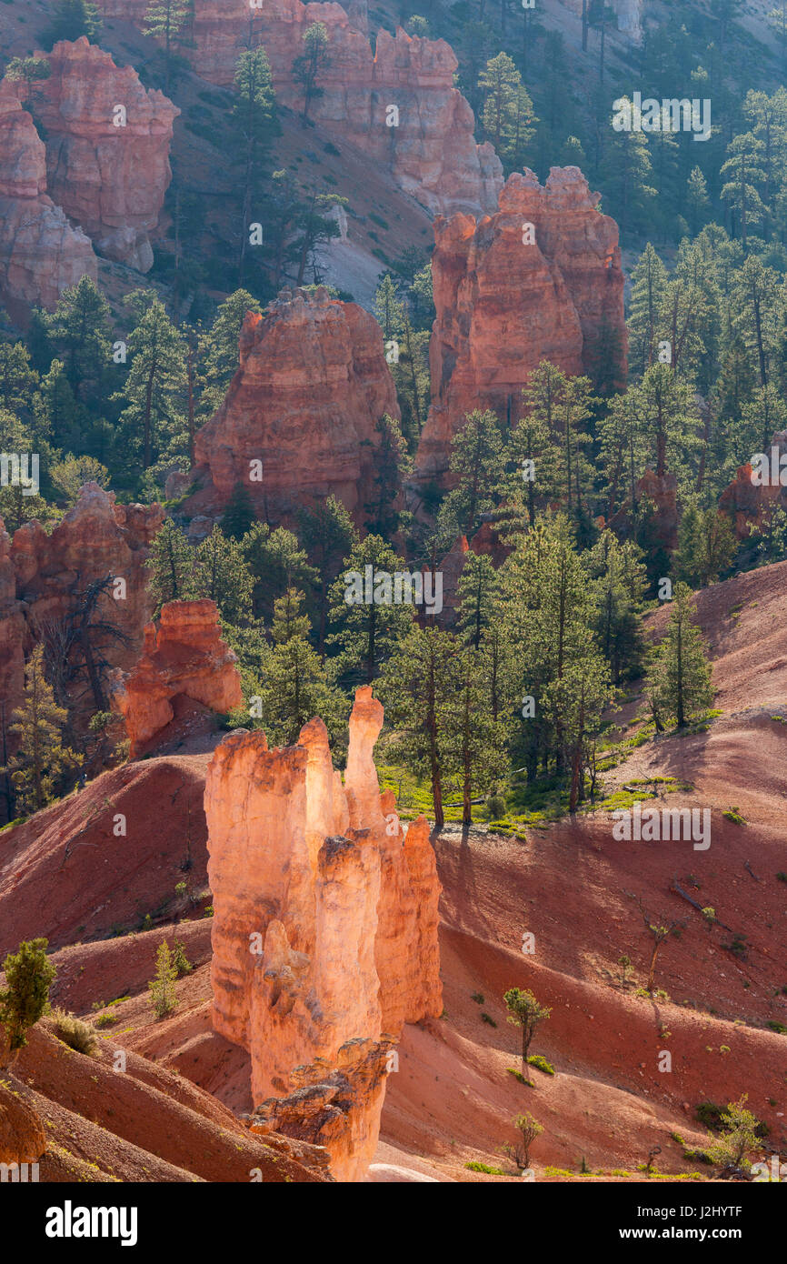 L'Utah, le Parc National de Bryce Canyon, Bryce Canyon et cheminées Banque D'Images