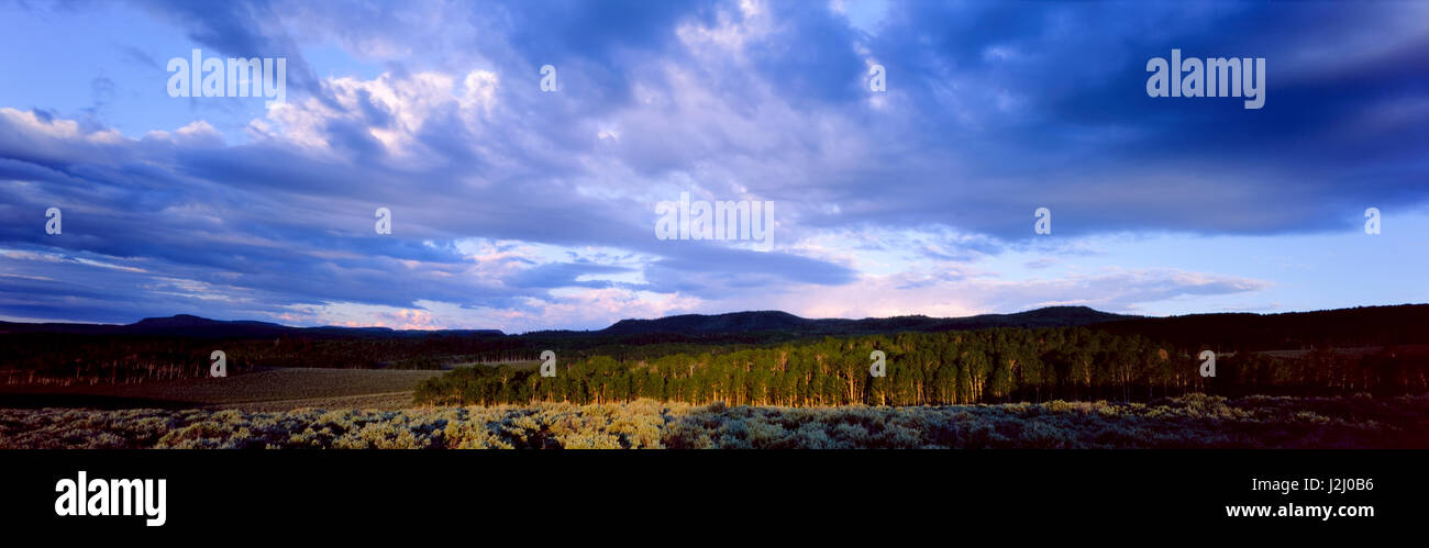 L'Utah. USA. Les cumulus au-dessus de l'armoise et des bosquets de trembles au lever du soleil. La montagne de Monroe. Plateau de Sevier. Fishlake National Forest. Tailles disponibles (grand format) Banque D'Images