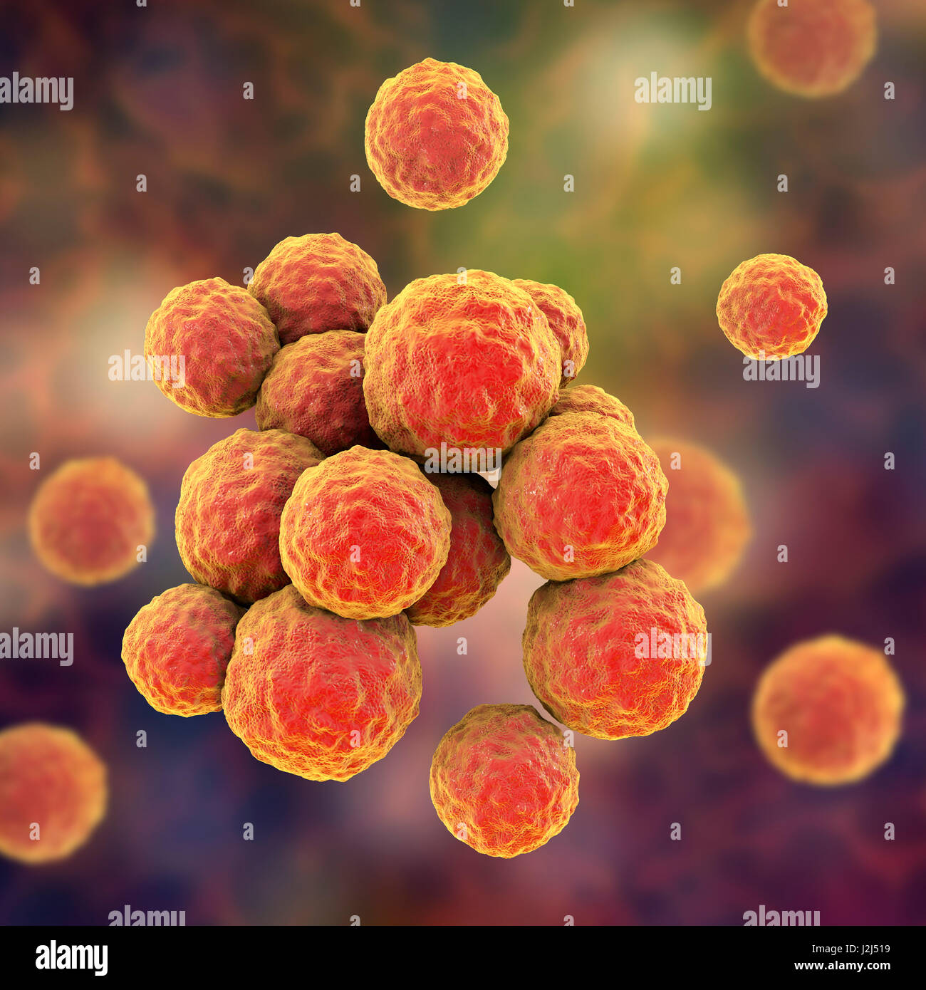Les bactéries SARM. L'oeuvre de l'ordinateur de Staphylococcus aureus résistant à la méthicilline (SARM) bactéries. Banque D'Images